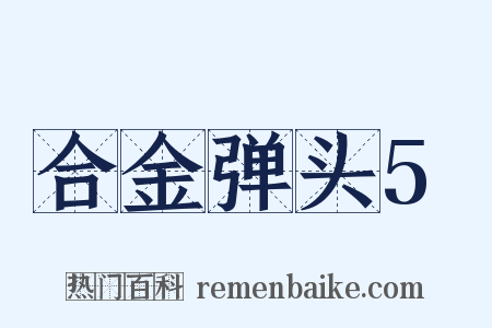 合金弹头5是什么意思的图片